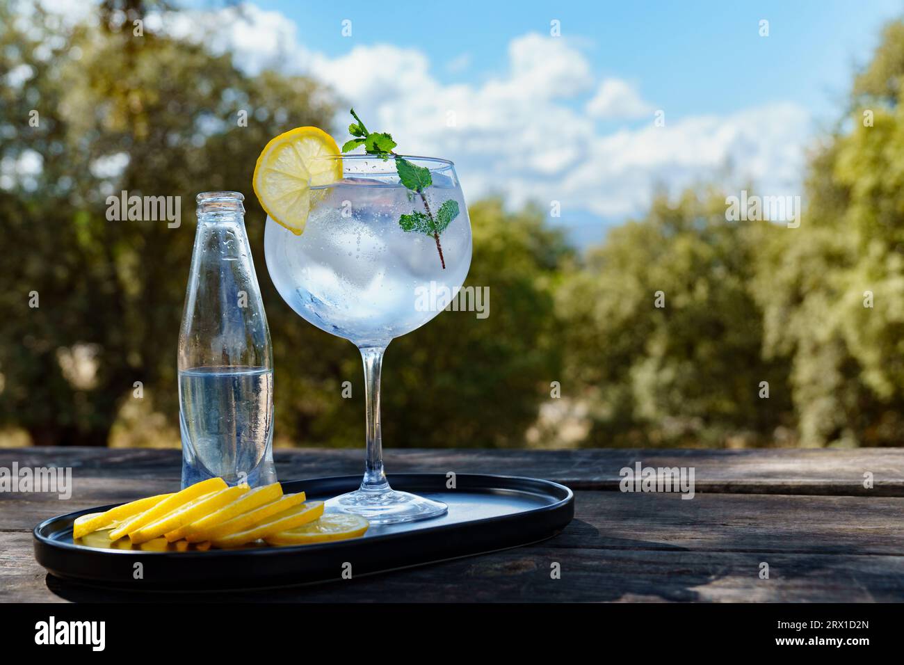 verre de gin et tonique avec glace, tranche de citron et feuilles de menthe Banque D'Images