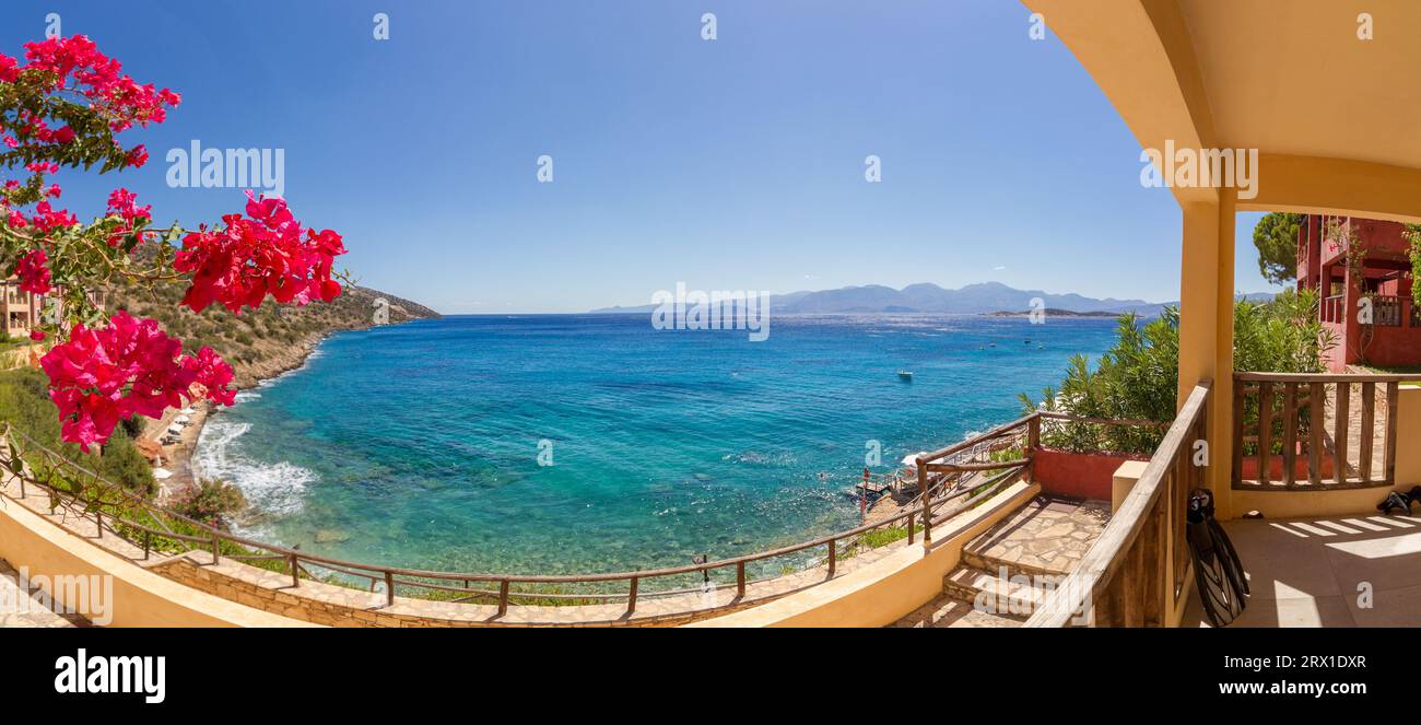Vue panoramique sur la mer méditerranée turquoise à l'île de Crète, en Grèce, près d'Agios Nikolaos, avec des fleurs et des palmes roses de bougainville Banque D'Images