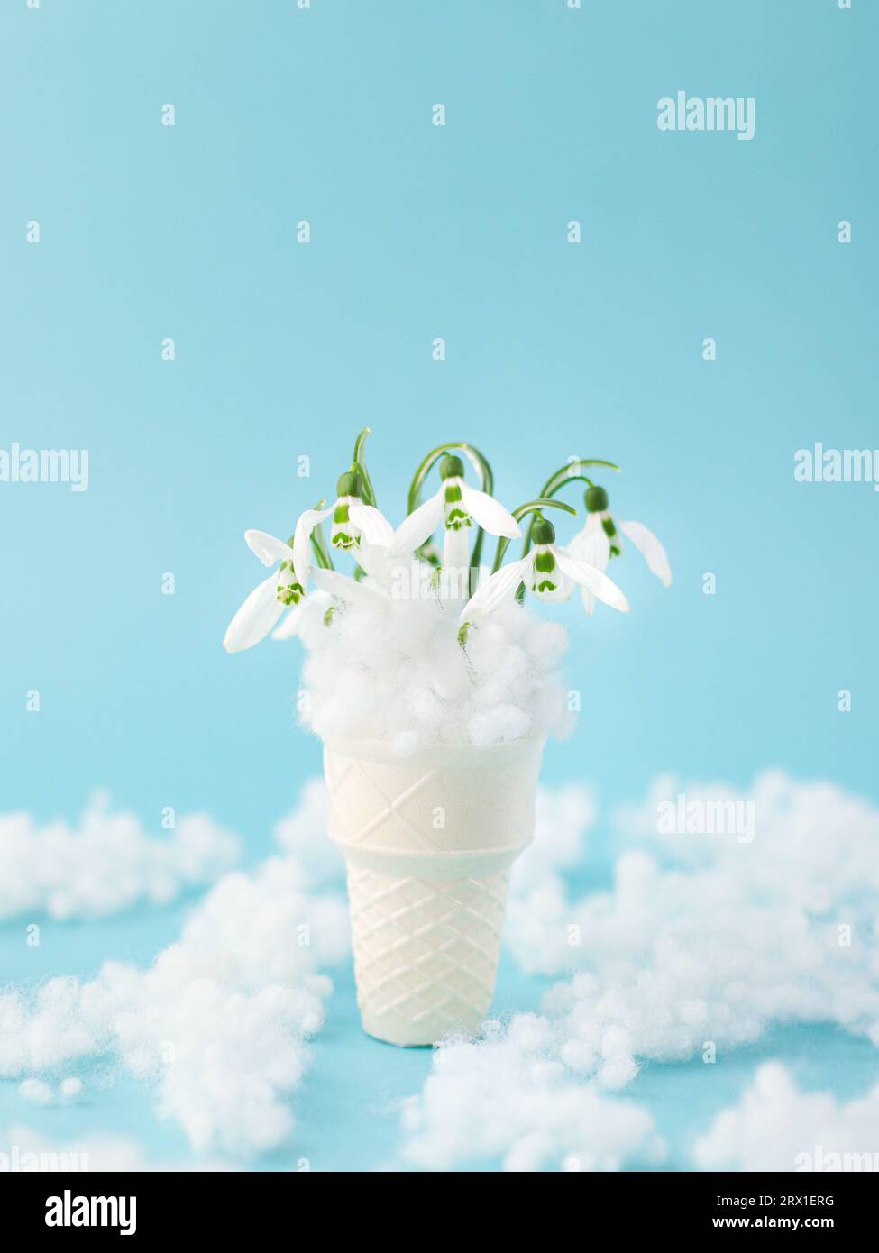 gouttes de neige printanière dans un cône gaufré. Couverture de printemps ou carte postale Banque D'Images