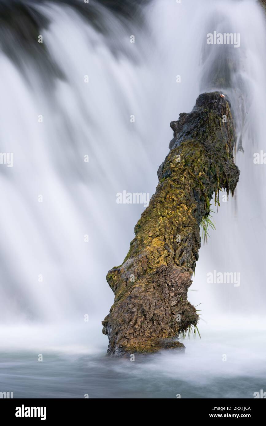 Un ruisseau coulant sur un barrage avec du bois flotté. Banque D'Images