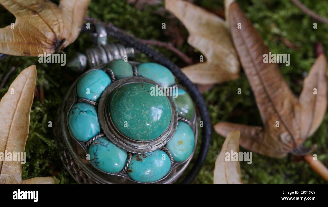 Beau pendentif turquoise sur mousse avec des feuilles sèches, Banque D'Images