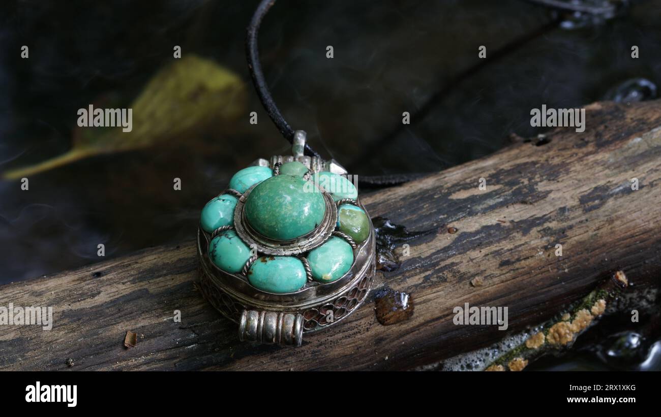 Magnifique pendentif turquoise sur une branche morte dans l'eau. Banque D'Images