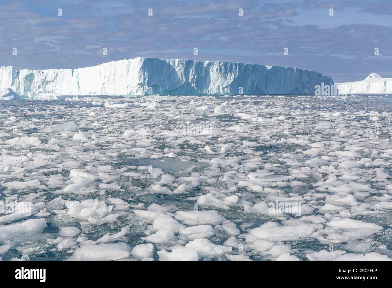 D'énormes icebergs de l'Icefjorsat voisin ont plongé dans la moraine terminale près d'Ilulissat, dans l'ouest du Groenland, dans les régions polaires Banque D'Images