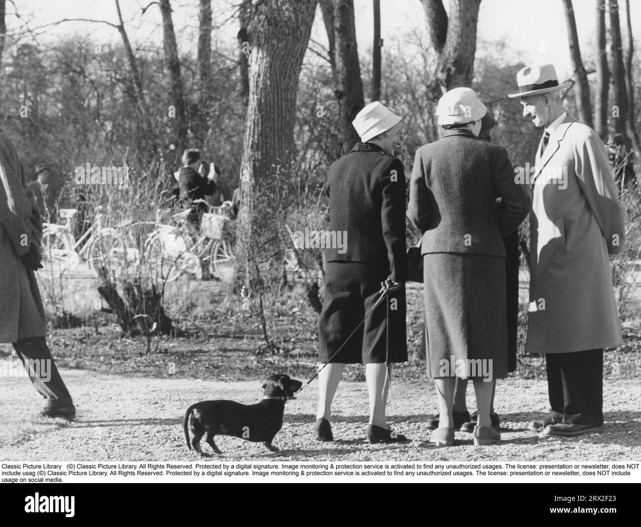 Dans les années 1950 Un groupe de personnes âgées sont debout et bavardent un jour de printemps. L'un d'eux tient un teckel en laisse. Banque D'Images