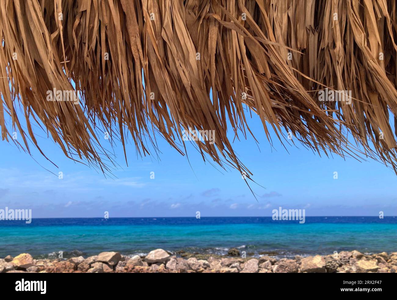 Feuilles de palmier de toit de chaume soufflant dans la brise avec la mer des Caraïbes, Curaçao Banque D'Images