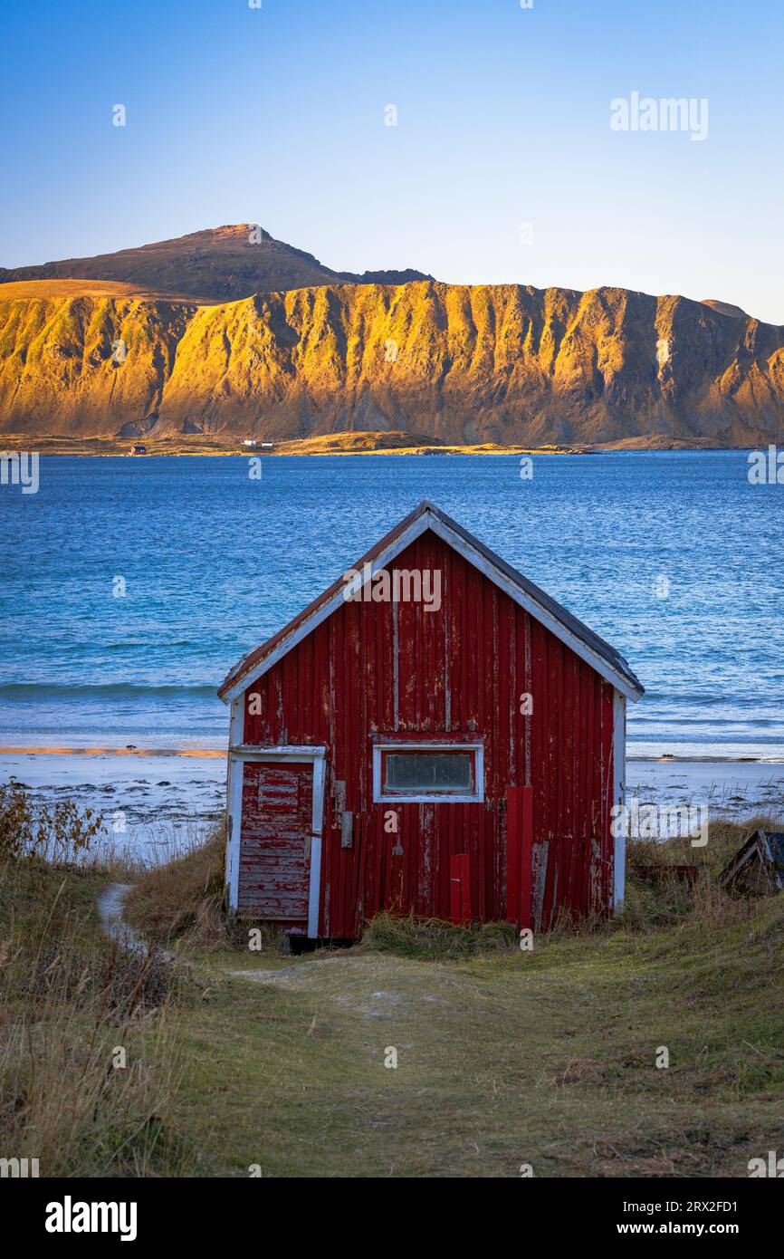 Cabane de pêcheur rouge sur la plage de Ramberg avec des montagnes en arrière-plan à l'aube, Flakstad, îles Lofoten, Nordland, Norvège, Scandinavie, Europe Banque D'Images