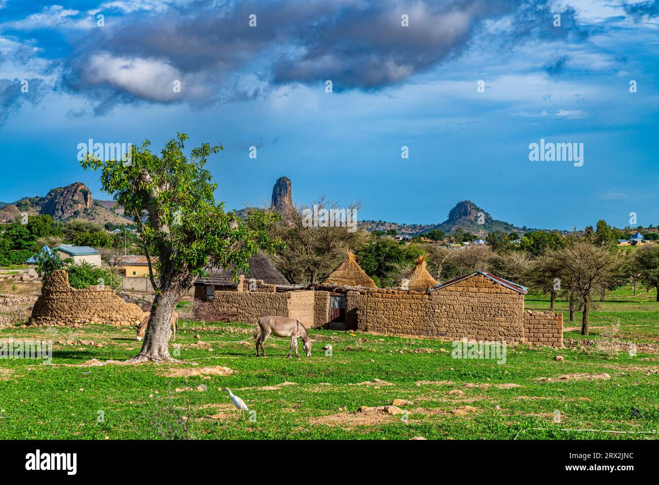 Murs composés dans le paysage lunaire, Rhumsiki, montagnes Mandara, province de l'extrême-Nord, Cameroun, Afrique Banque D'Images