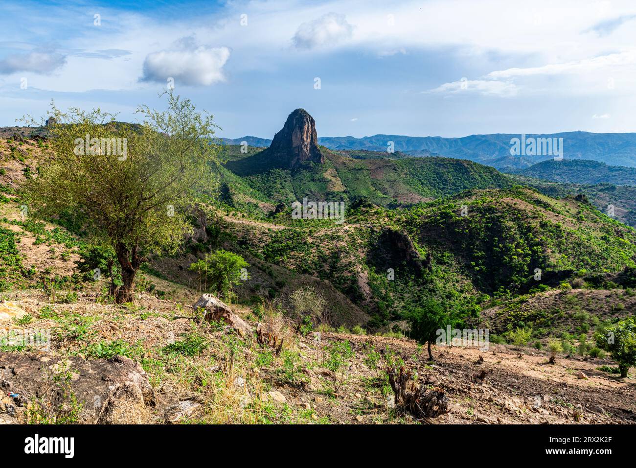 Paysage lunaire, Rhumsiki, montagnes Mandara, province de l'extrême-Nord, Cameroun, Afrique Banque D'Images