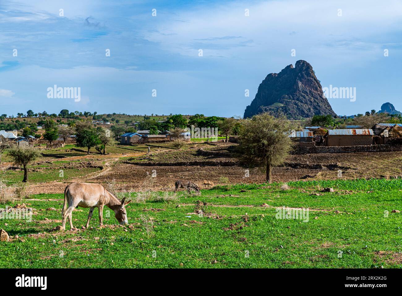 Village et paysage lunaire, Rhumsiki, montagnes Mandara, province de l'extrême Nord, Cameroun, Afrique Banque D'Images