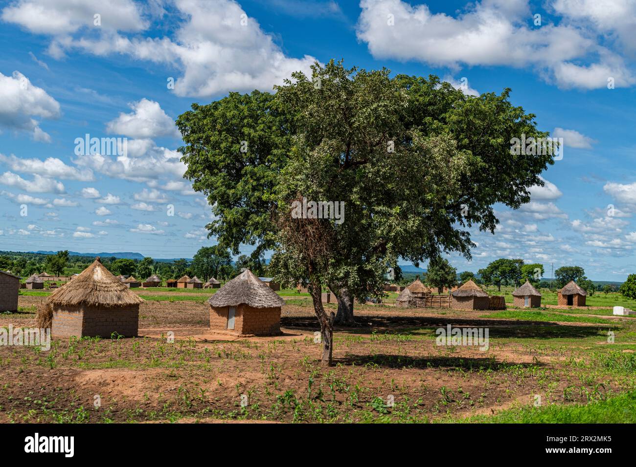 Cabanes de boue traditionnelles, Nord Cameroun, Afrique Banque D'Images