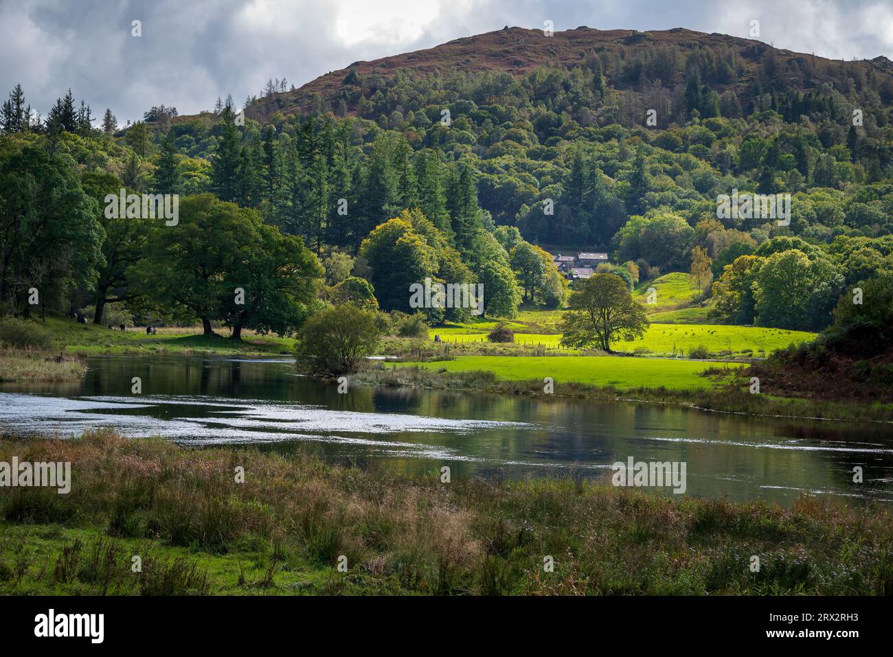 La rivière Brathay sur la voie Cumbrian à Elterwater près d'Ambleside dans le lac DSistry. Scène tranquille par l'eau d'Elter dans la région du lac Nati Banque D'Images