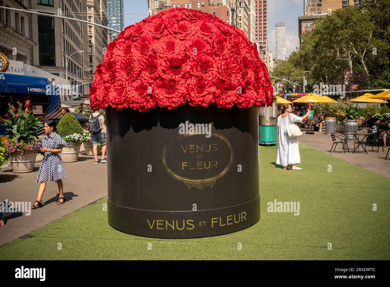 Activation de la marque venus et Fleur au Flatiron Plaza à New York le vendredi 8 septembre 2023. Venus et Fleur vendent de vraies roses qui ont été traitées pendant environ un an. Initialement, la vente en ligne seulement la marque ouvre maintenant des magasins de détail. © Richard B. Levine) Banque D'Images