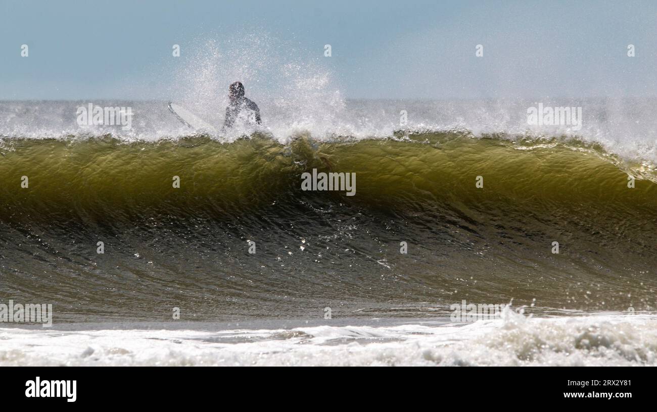 Surfeur au sommet d'une grande vague de l'ouragan Franklin au large de la côte assis sur sa planche comme il le passe. Banque D'Images