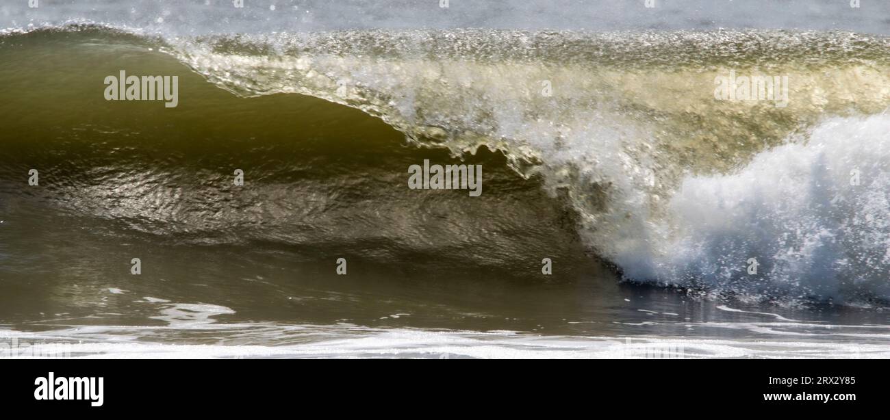 Une très grande vague formée par une tempête au large de la côte se brisant de près. Banque D'Images