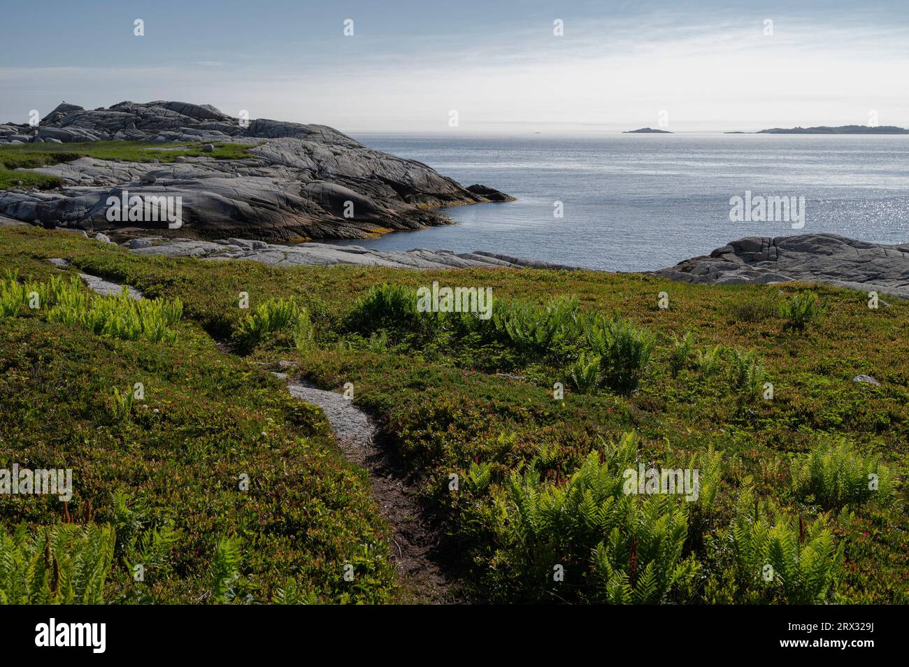 Côte rocheuse au bord de l'océan Atlantique, Dr. Bill Freedman nature Preserve, conservation de la nature Canada, Nouvelle-Écosse, Canada, Amérique du Nord Banque D'Images