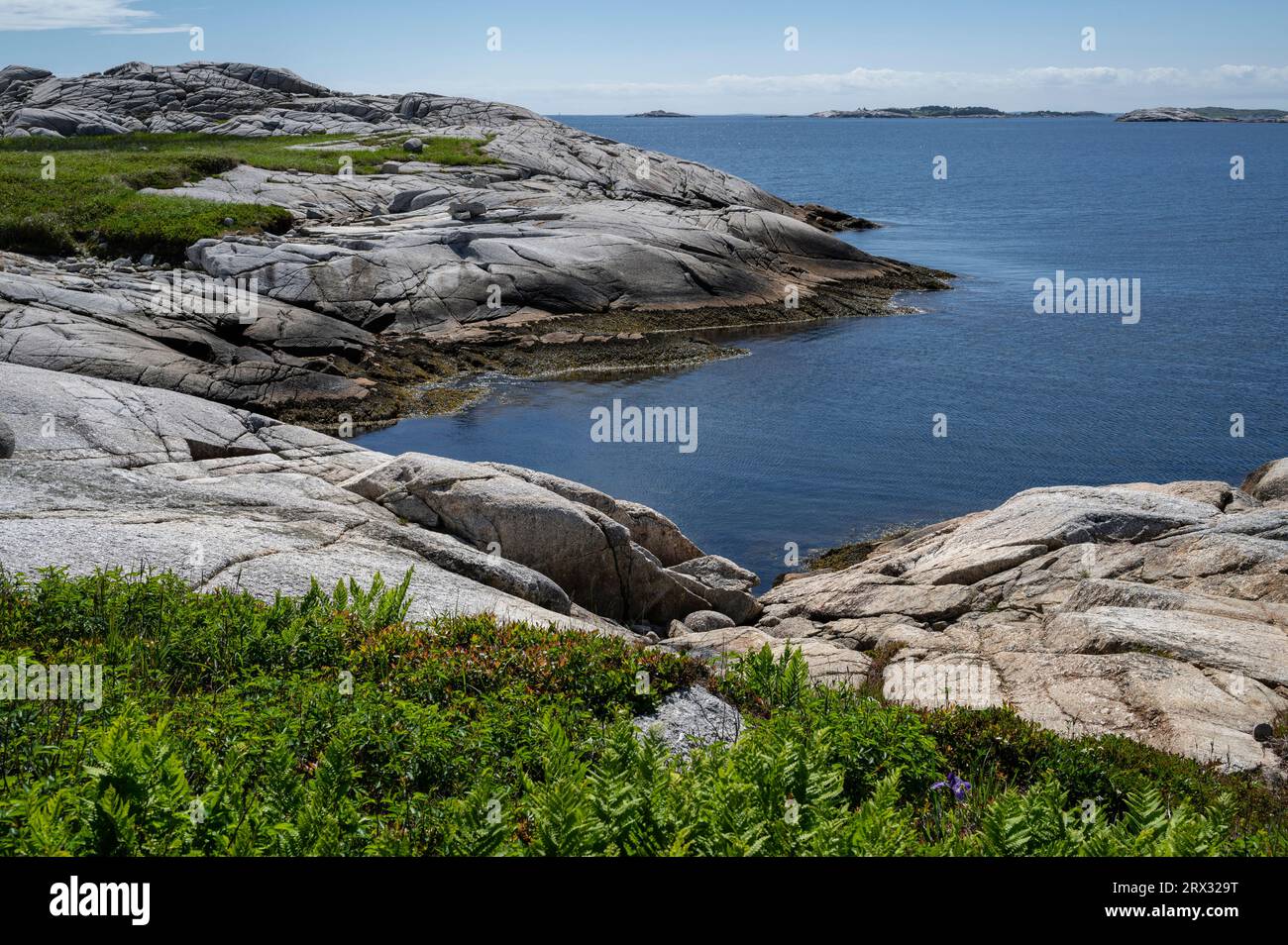 Côte rocheuse au bord de l'océan Atlantique, Dr. Bill Freedman nature Preserve, conservation de la nature Canada, Nouvelle-Écosse, Canada, Amérique du Nord Banque D'Images