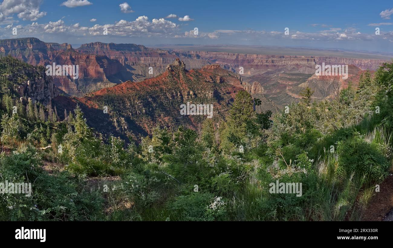 Vue de Brady Peak depuis l'aire de pique-nique Vista Encantada sur le plateau nord du Grand Canyon, parc national du Grand Canyon, site classé au patrimoine mondial de l'UNESCO, Arizona Banque D'Images