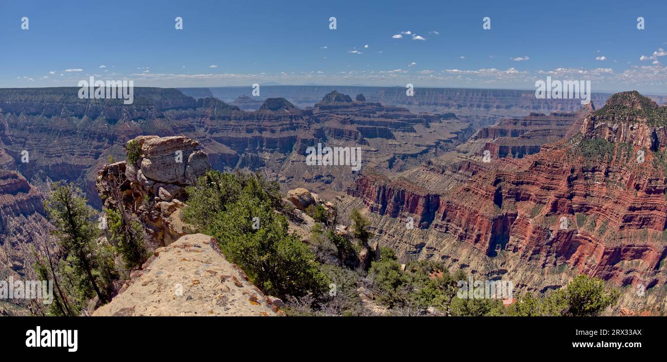 Vue du Grand Canyon depuis Bright Angel point sur la rive nord, avec les temples Brahma et Zoroaster visibles au loin et Oza Butte à l'extrême droite Banque D'Images