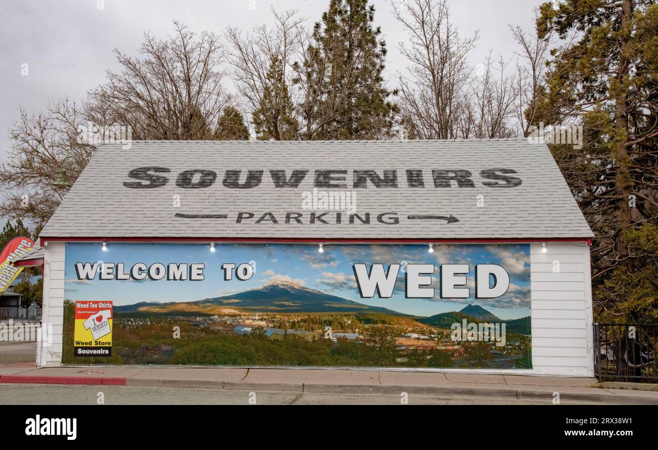 Magasin de souvenirs à Weed, CA Banque D'Images