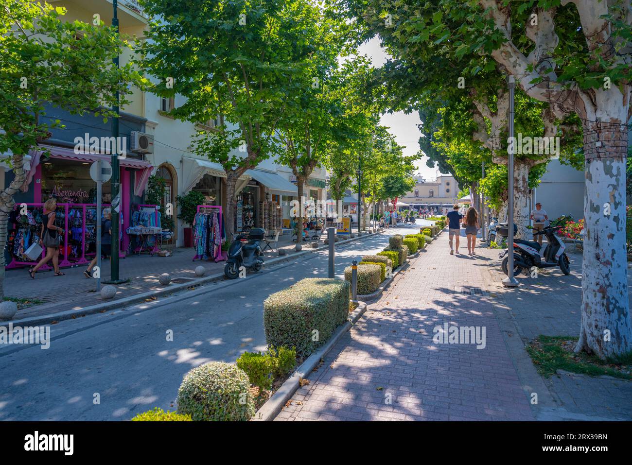 Vue des magasins sur la rue bordée d'arbres, Kos Town, Kos, Dodécanèse, îles grecques, Grèce, Europe Banque D'Images