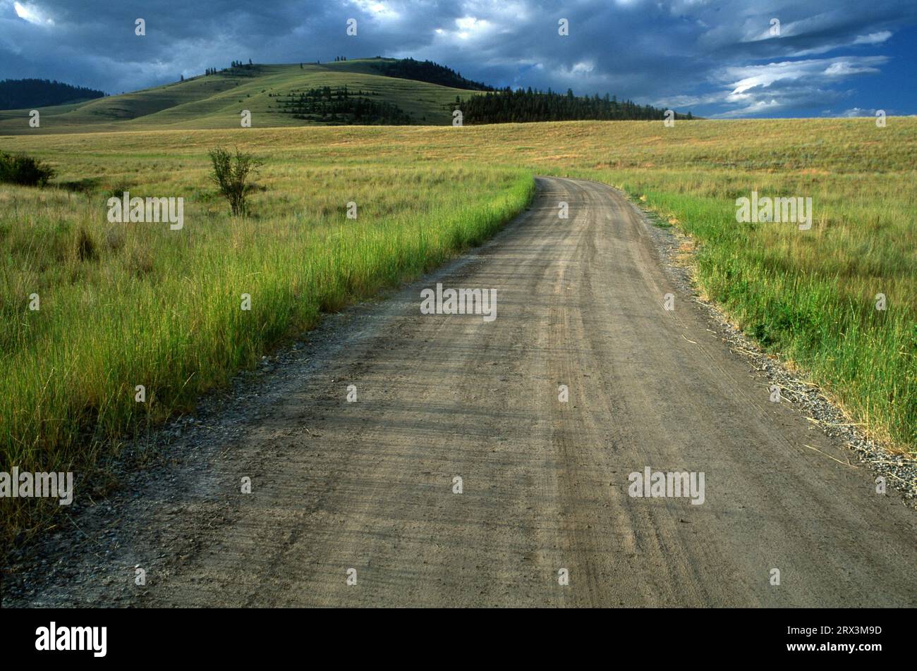 Red Sleep Mountain Drive, National Bison Range, Montana Banque D'Images