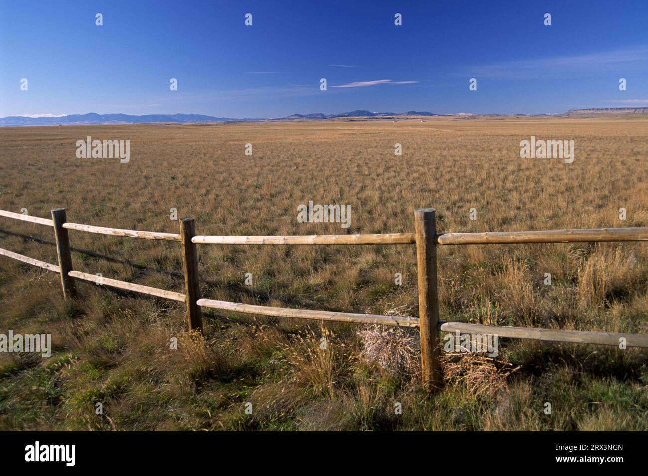 Clôture, First Peoples Buffalo Jump State Park, Montana Banque D'Images