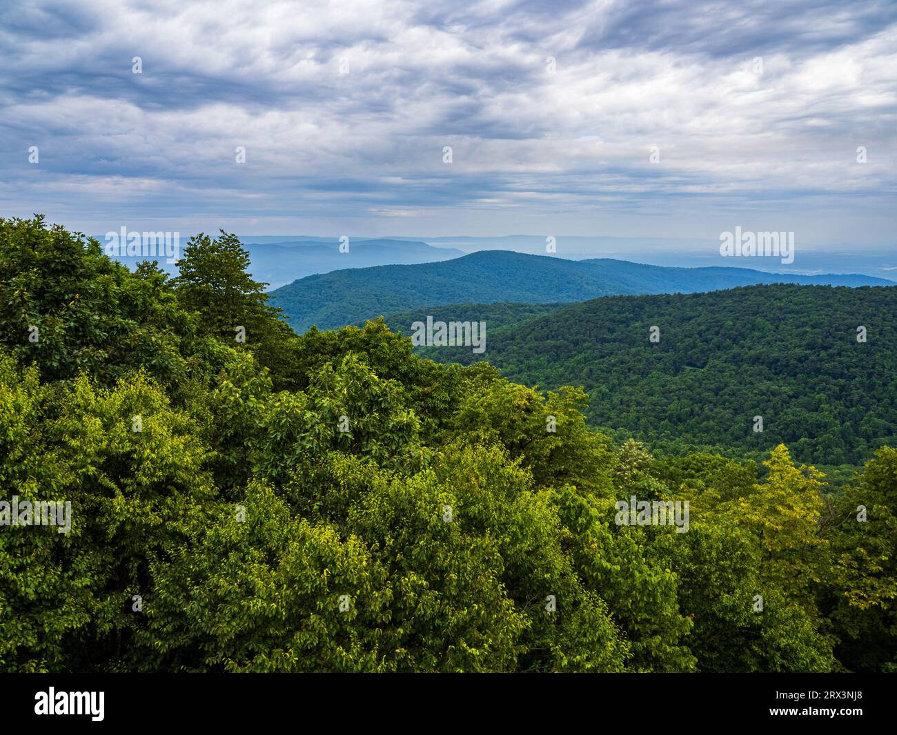 Vue panoramique de la vallée de Shenandoah depuis le parc national de Shenandoah, Virginie, États-Unis, avec des montagnes lointaines qui s'estompent. Banque D'Images