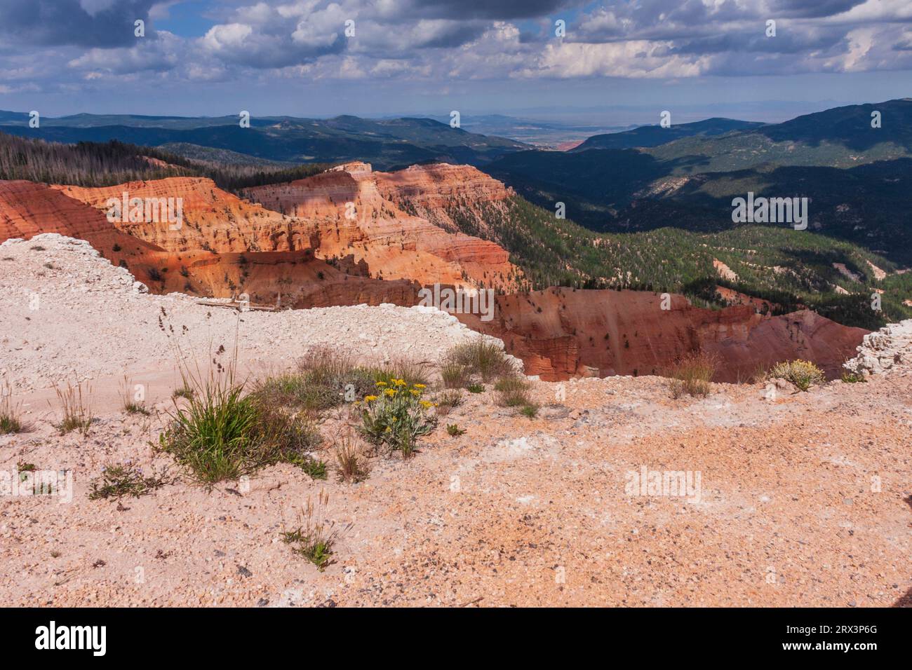 Hoodoos et falaises colorées au monument national de Cedar Breaks dans l'Utah. Les Indiens appelés Cedar brisent le cercle des falaises peintes. Haute altitude. Banque D'Images