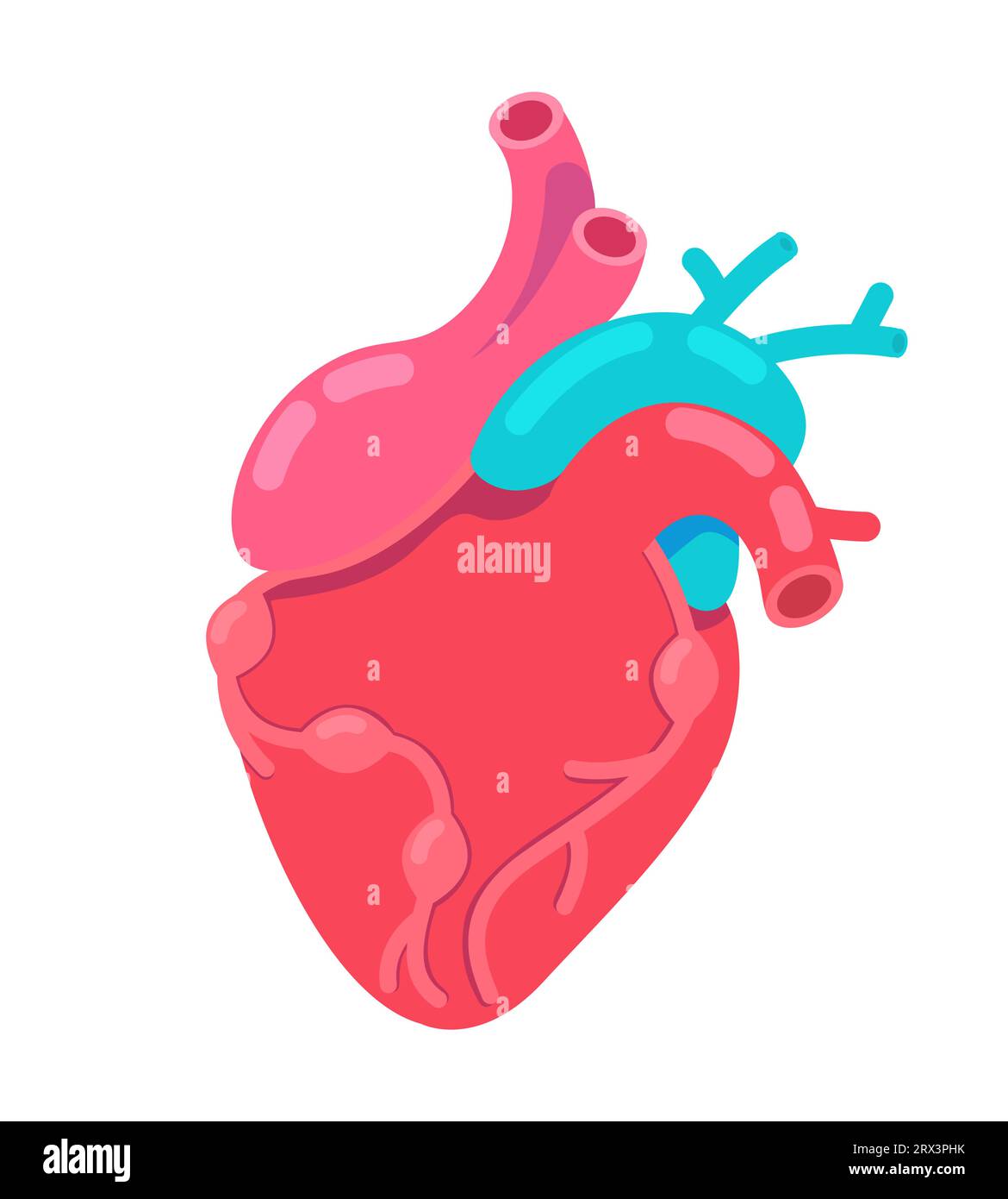 Objet de dessin animé 2D anatomique de battement de coeur Illustration de Vecteur