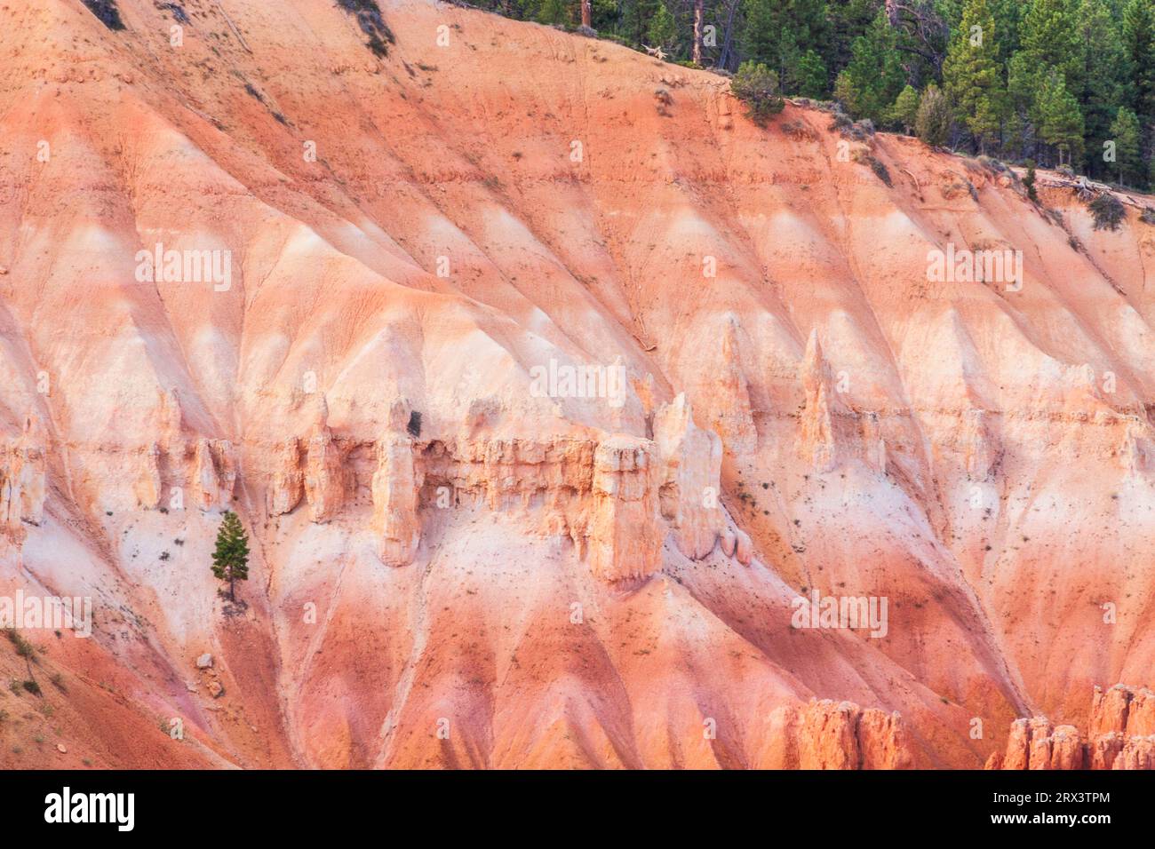 Lumière du soir juste avant le coucher du soleil sur les cheminées et les formations rocheuses à Inspiration Point dans le Parc National de Bryce Canyon dans l'Utah.. Banque D'Images