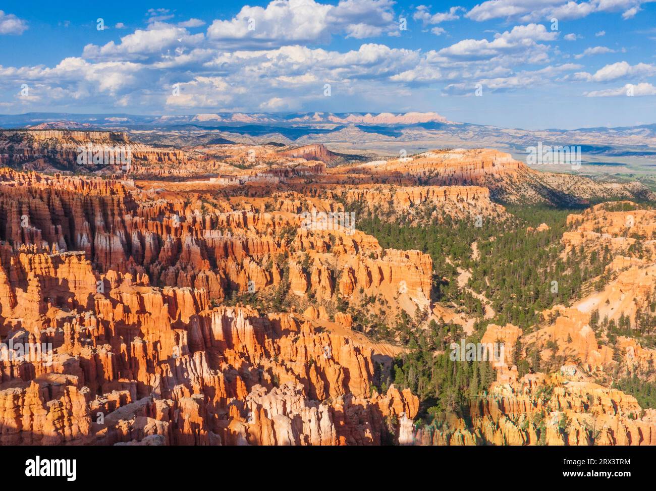 Lumière du soir juste avant le coucher du soleil sur des hoodoos et des formations à inspiration point dans le parc national de Bryce Canyon dans l'Utah. Banque D'Images