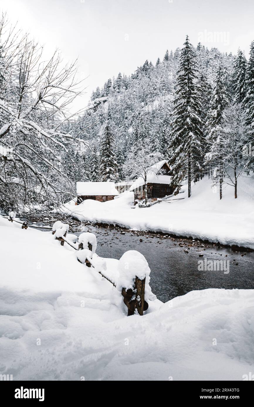 Photo verticale de cabanes en bois enneigées et gelées au milieu de la montagne (forêt) avec ruisseau sur fond en hiver. Point de repère slovaque enneigé Banque D'Images