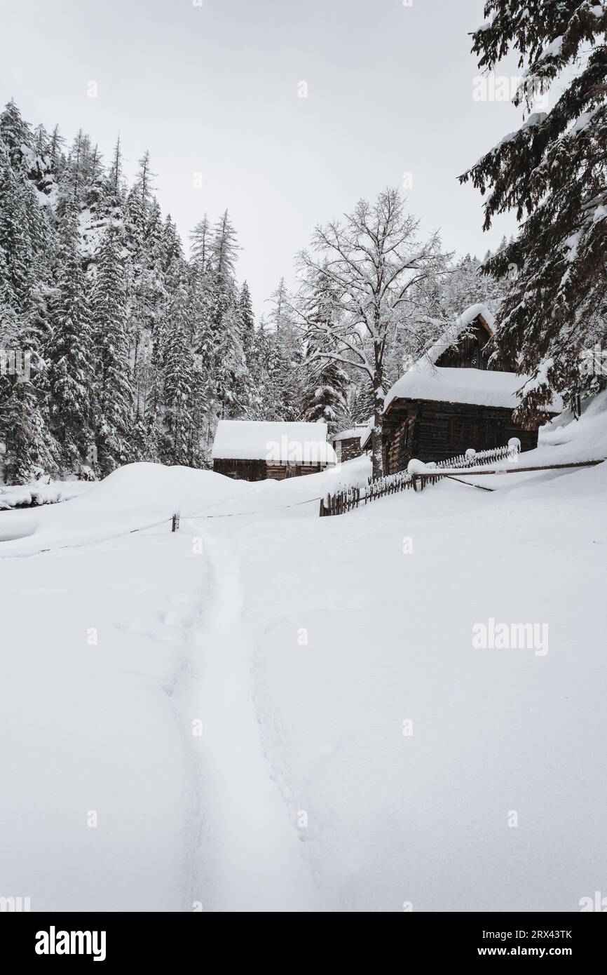 Photo verticale de cabanes en bois enneigées et gelées au milieu de la montagne (forêt) avec ruisseau sur fond en hiver. Point de repère slovaque enneigé Banque D'Images