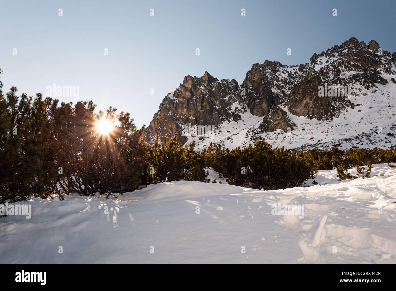 Beau coucher de soleil sur les montagnes en hiver. Les rayons du soleil éclairent à travers les conifères - paysage couvert de neige avec d'énormes sommets de montagne et bl clair Banque D'Images