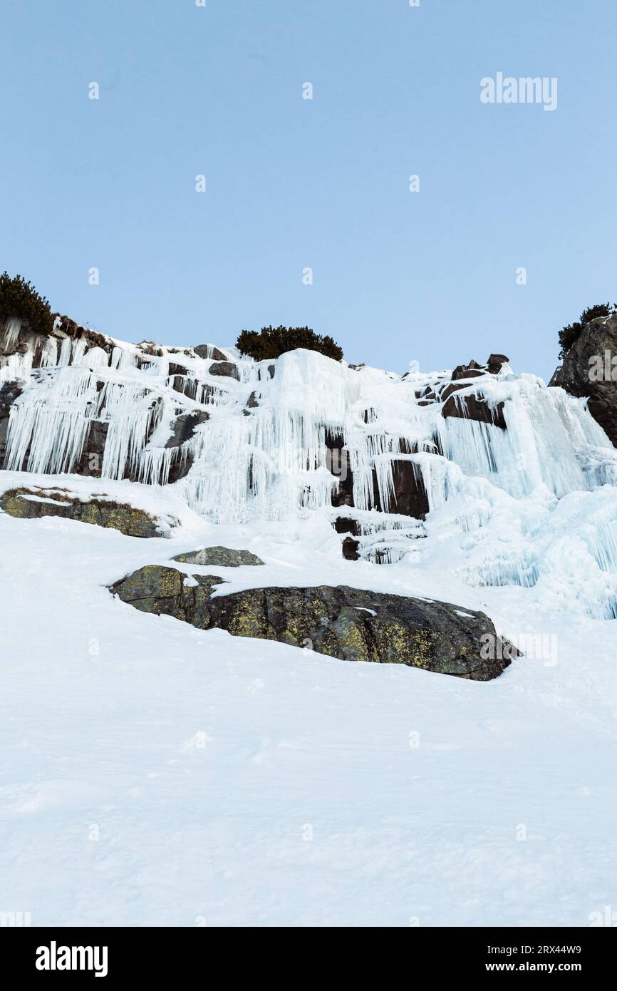 Cascade gelée Skok dans les Hautes Tatras (Slovaquie) en hiver. Grande cascade avec glaçons géants bleus gelent sur les rochers. Banque D'Images