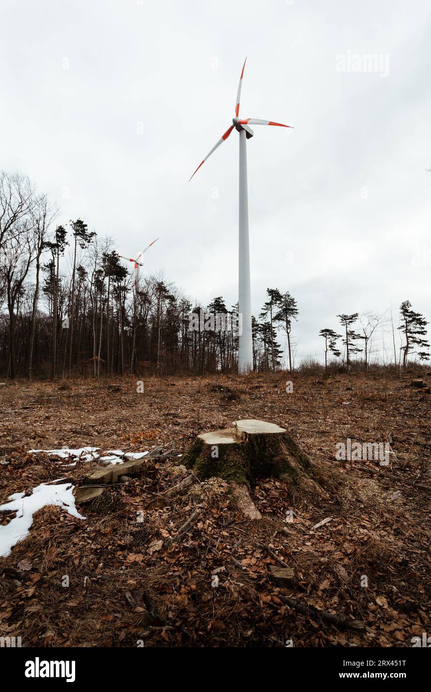 Centrale éolienne dans la forêt détruite et déboisée avec souche d'arbre au premier plan -concept de problème environnemental. Éolienne en forêt avec CLO Banque D'Images