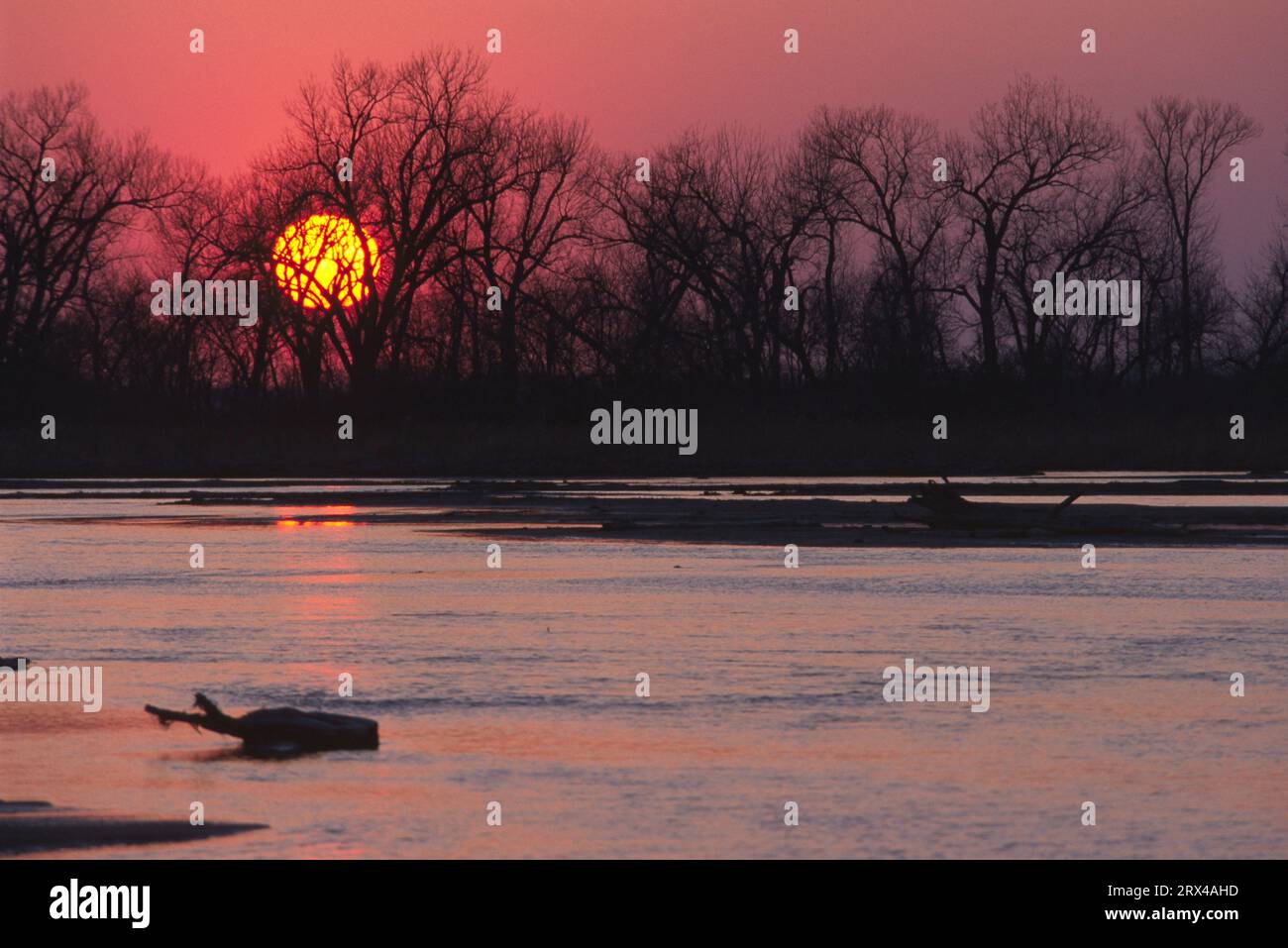 Coucher de soleil sur la rivière Platte depuis le photoaveugle, Rowe Audubon Sanctuary, Nebraska Banque D'Images