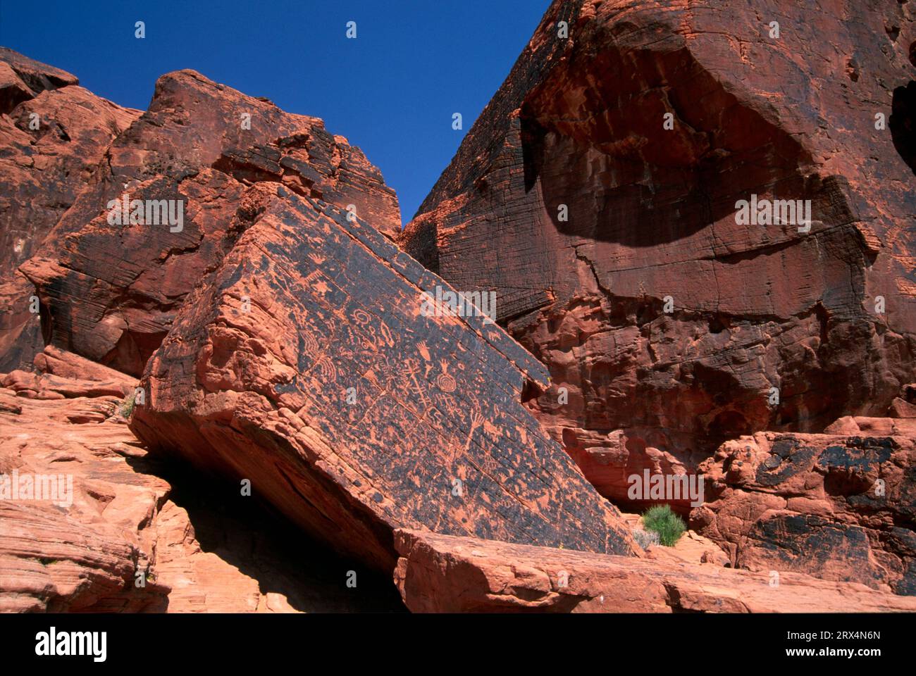 Près de l'Atlatl Rock Petroglyphs, Vallée de Feu Park, Nevada Banque D'Images