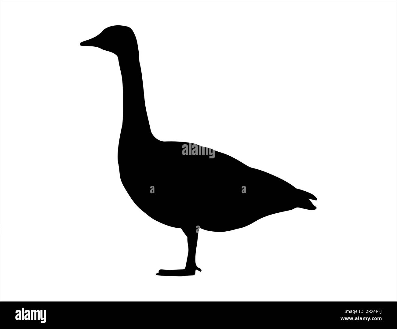 Art vectoriel silhouette d'oie du Canada Illustration de Vecteur