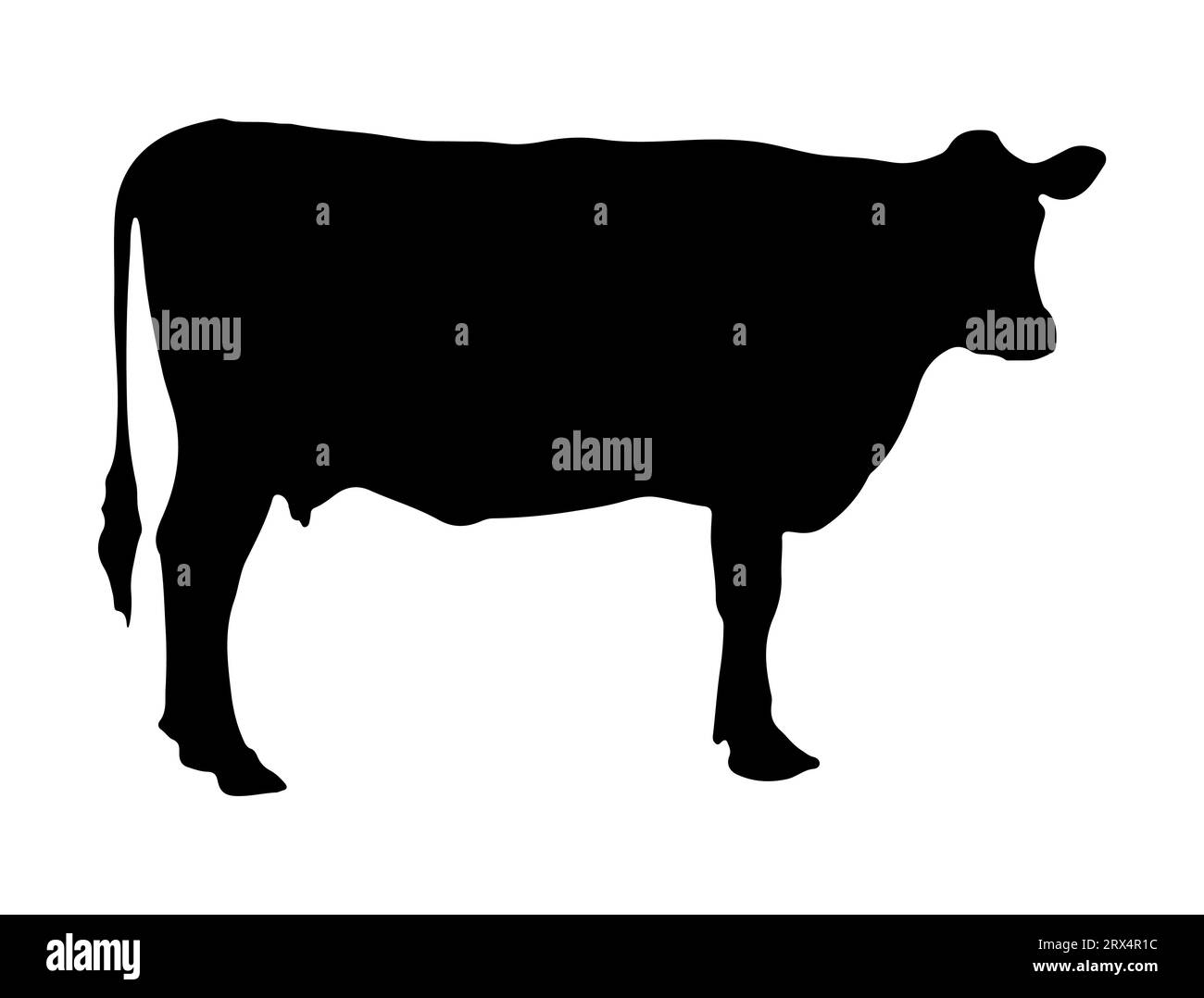 Fond blanc d'art vectoriel silhouette de vache Illustration de Vecteur