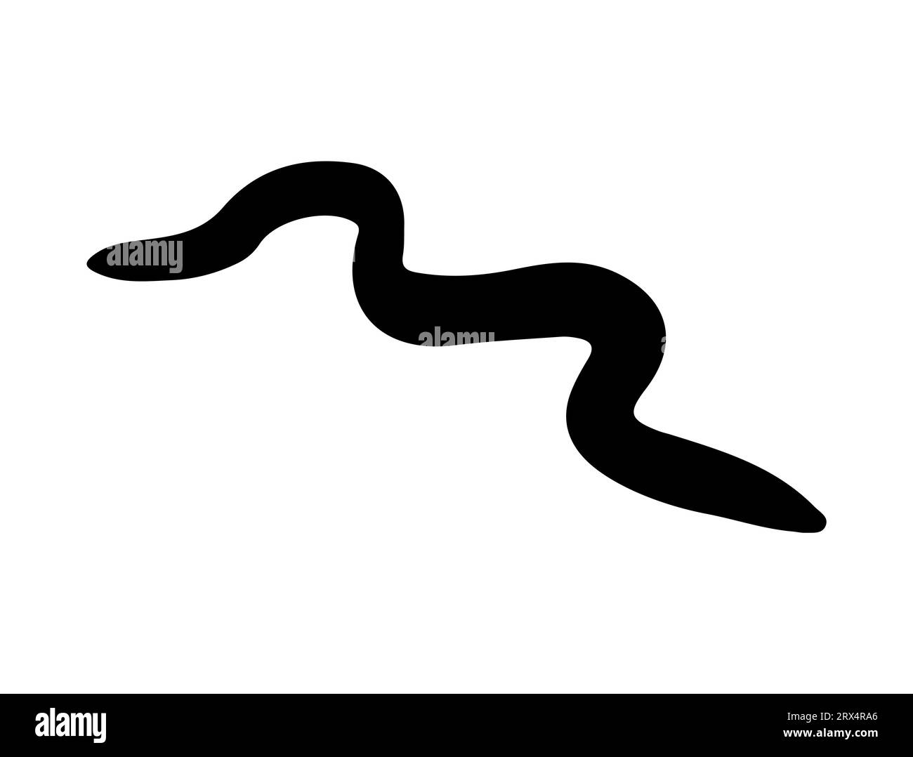 Fond blanc d'art vectoriel silhouette d'anguille Illustration de Vecteur