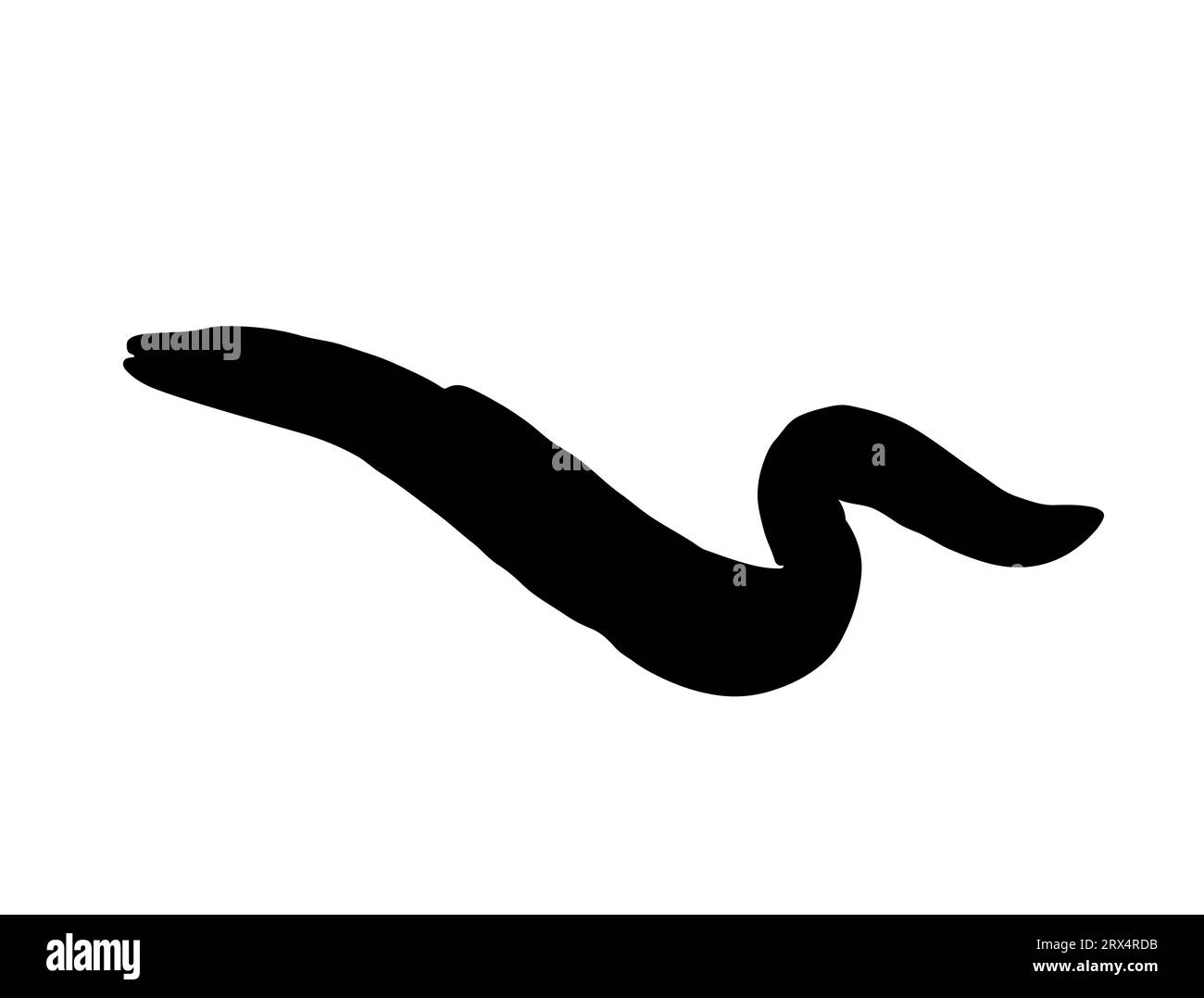 Fond blanc d'art vectoriel silhouette d'anguille Illustration de Vecteur