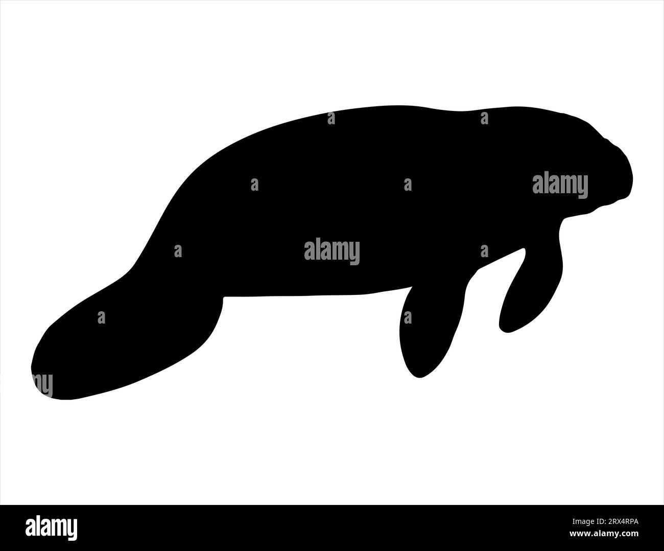 Arrière-plan blanc de vecteur d'art de silhouette de lamantin Illustration de Vecteur