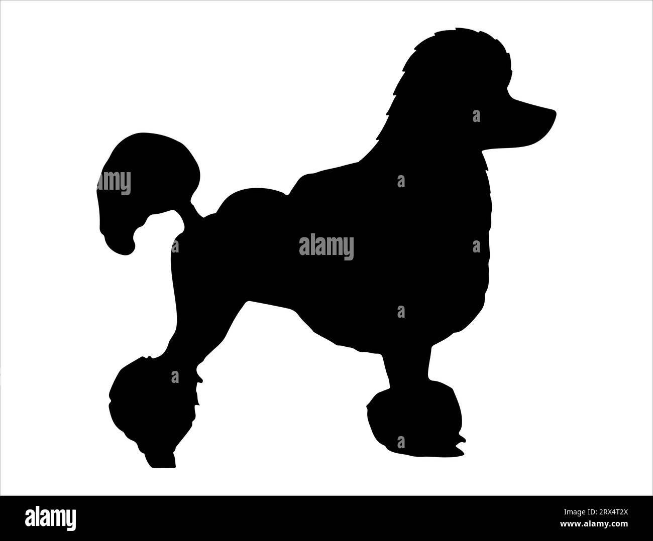 Poodle Dog silhouette vecteur art fond blanc Illustration de Vecteur