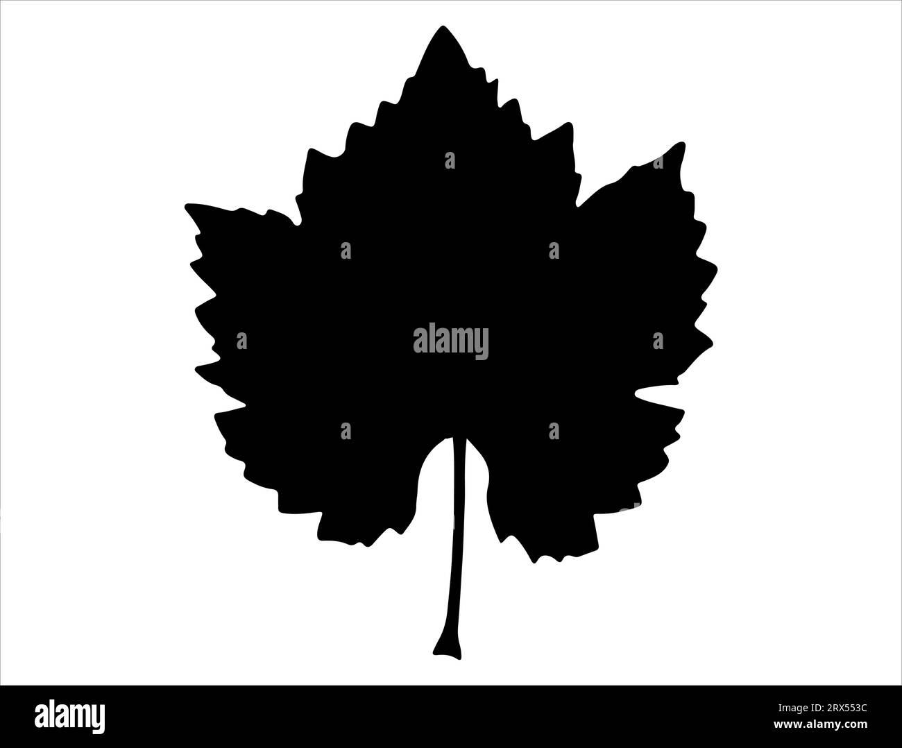 Fond blanc de vecteur art de silhouette de feuille de raisin Illustration de Vecteur