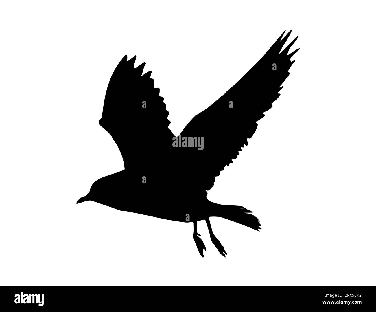 Seagull oiseau silhouette vecteur art fond blanc Illustration de Vecteur