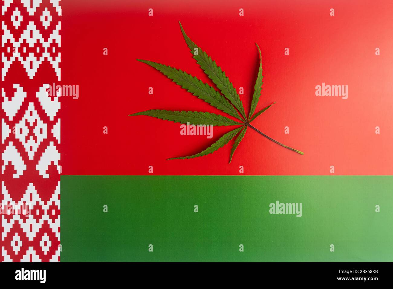 Une feuille de chanvre sur fond du drapeau biélorusse. Concept de légalisation et changements dans la législation concernant la culture et l'utilisation de marijuana dans le Banque D'Images