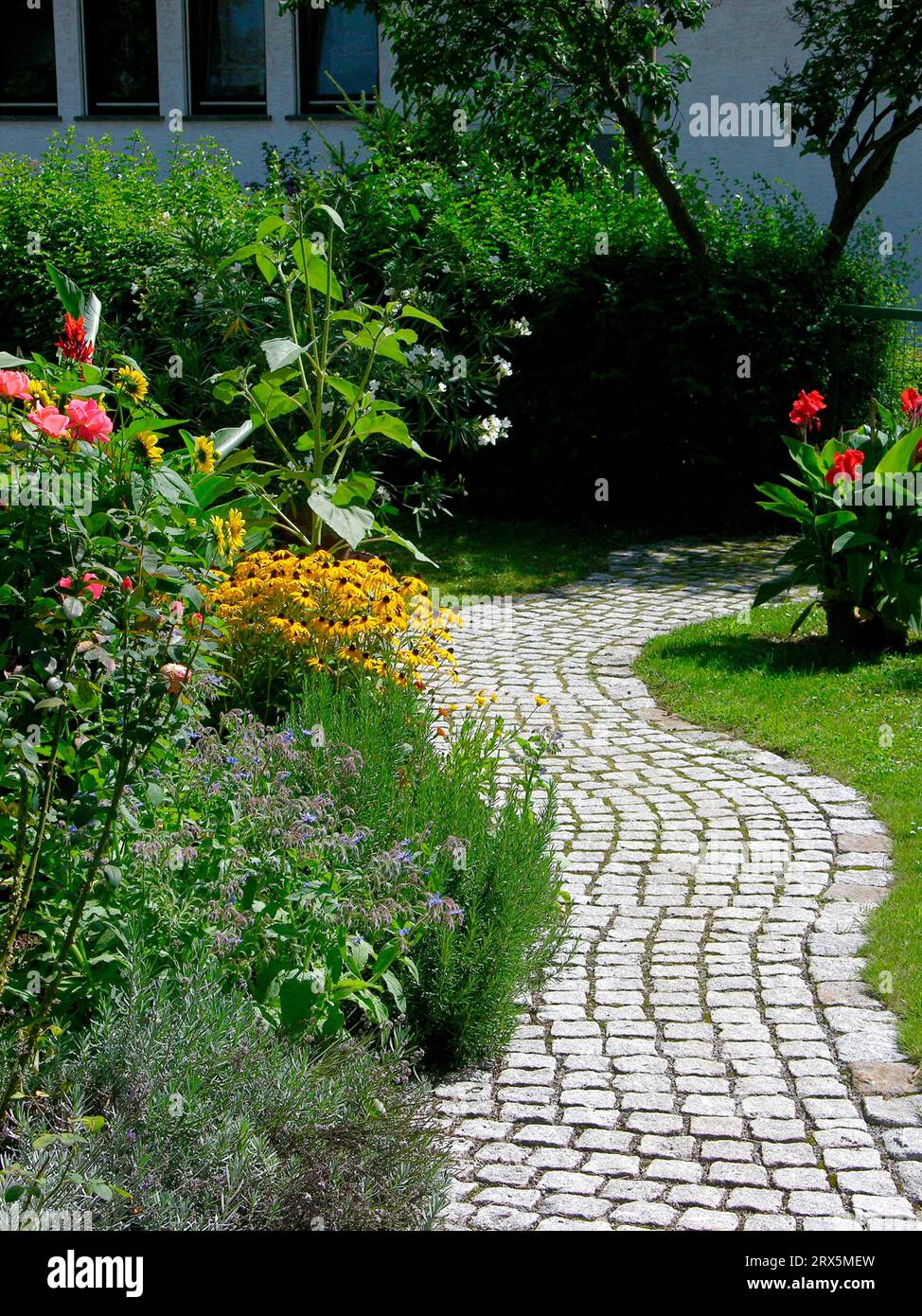 Jardin vivace avec chemin pavé, pierres, jardin d'été, jardin fleuri Banque D'Images