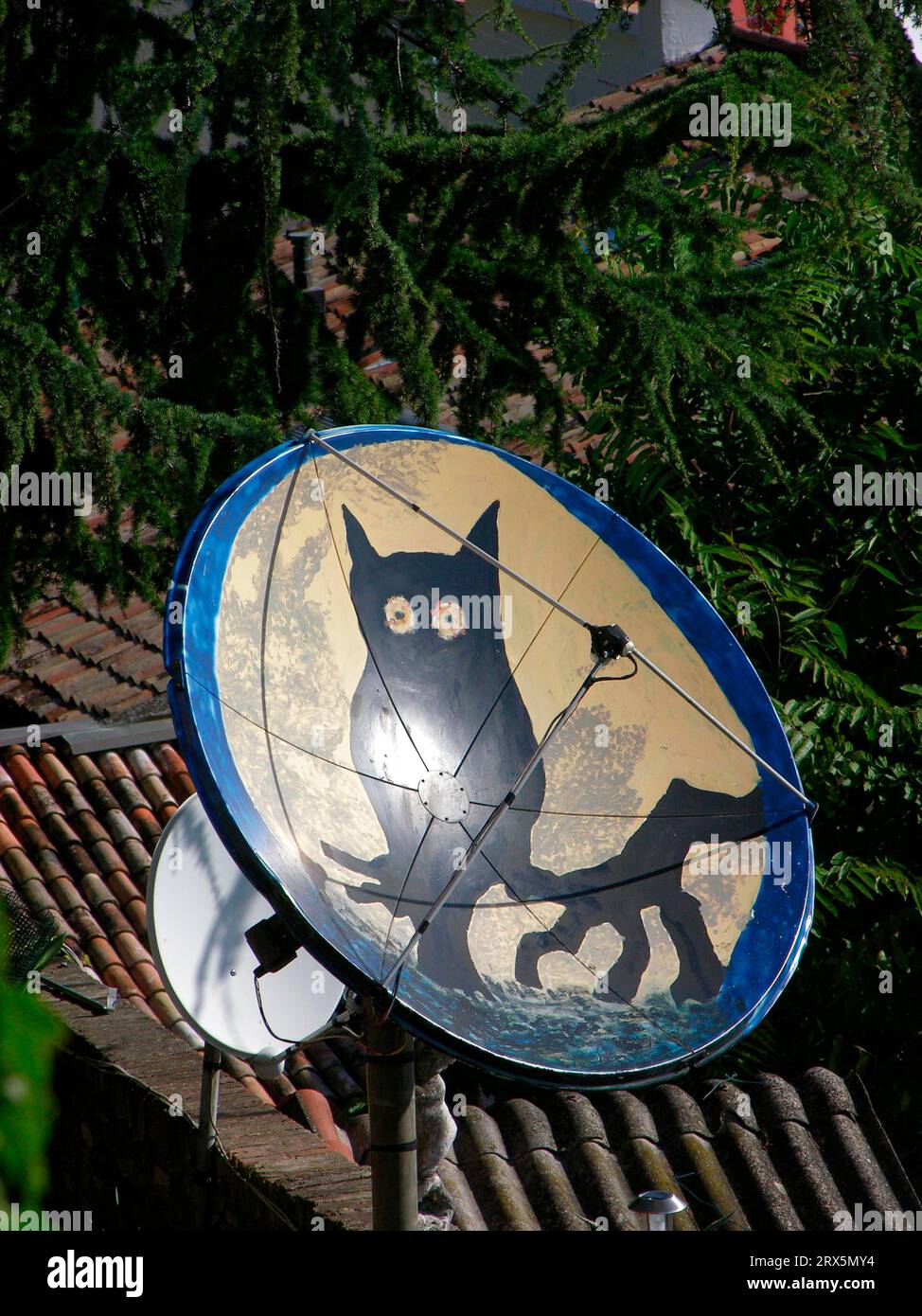 Antenne parabolique dans le motif chat, hibou sur une branche, Santarcangelon di Roma. Emilie Romagne, Italie, Sant'Angelo di Roma Banque D'Images