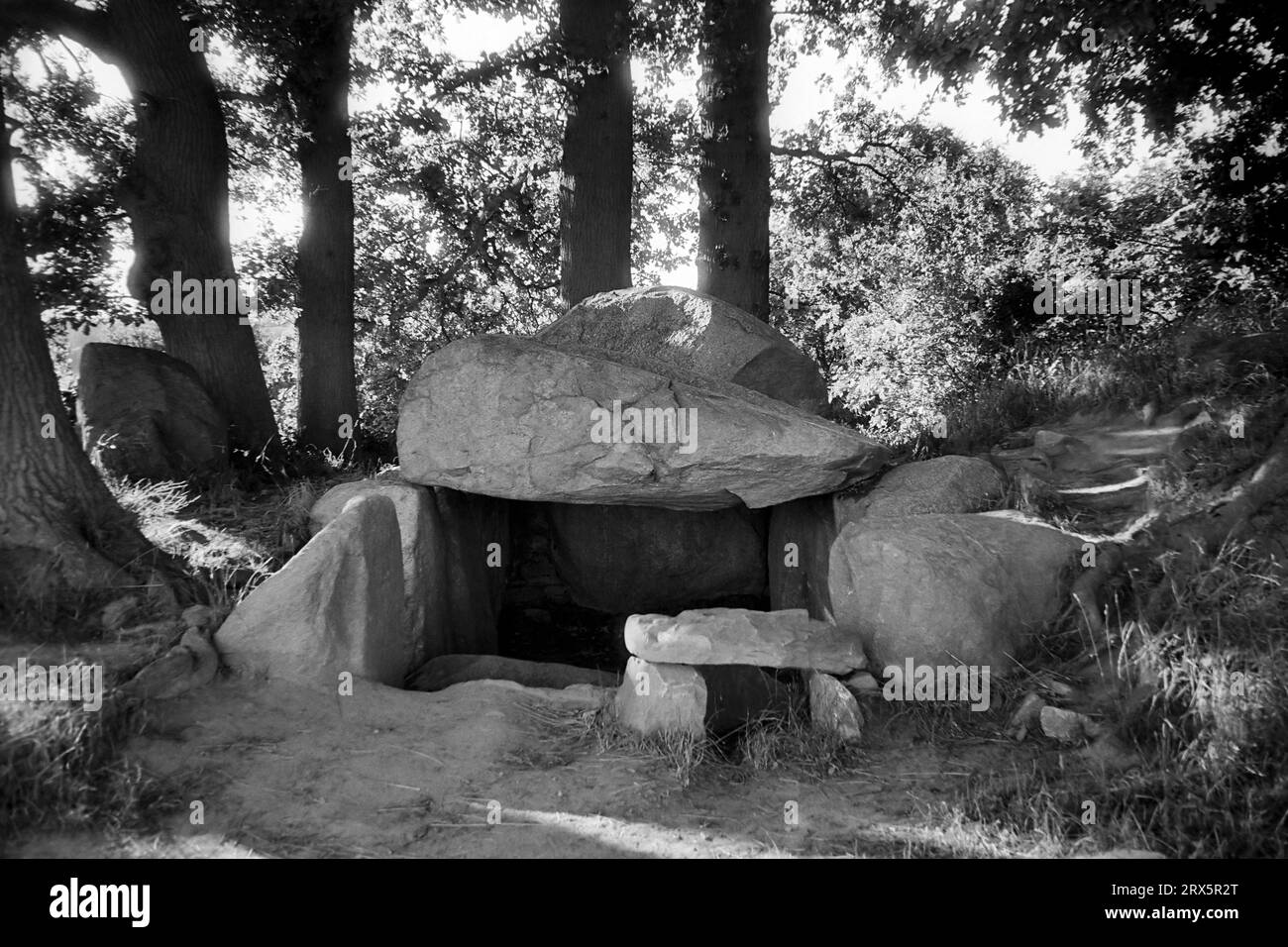 Tombes mégalithiques sur l'île de Ruegen, près de Neu Reddevitz, Mecklembourg-Poméranie occidentale Banque D'Images